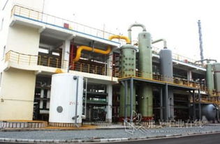 數(shù)字化轉(zhuǎn)型的引擎 寧波石化經(jīng)濟(jì)技術(shù)開發(fā)區(qū)網(wǎng)絡(luò)技術(shù)服務(wù)企業(yè)走訪實(shí)錄