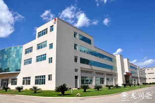 昆明龍潤茶葉生產(chǎn)中心的網(wǎng)絡(luò)技術(shù)服務(wù) 數(shù)字化轉(zhuǎn)型中的茶業(yè)新引擎